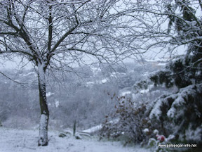 paisaje_nevado.jpg