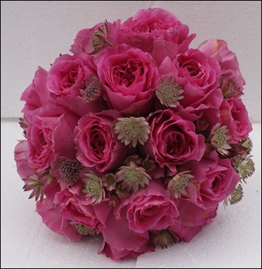theflowercolos.blogspot the flower company astrantia and david austin 'emily' roses