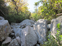 IMG_0134.JPG Photo