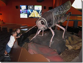 IMG_3980 IMG_3980