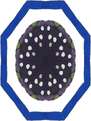 39a.jpg
