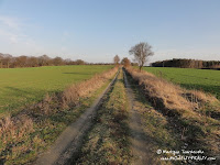 dsc07399.jpg