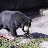 Besuch im Zoo Basel Zolli 2004