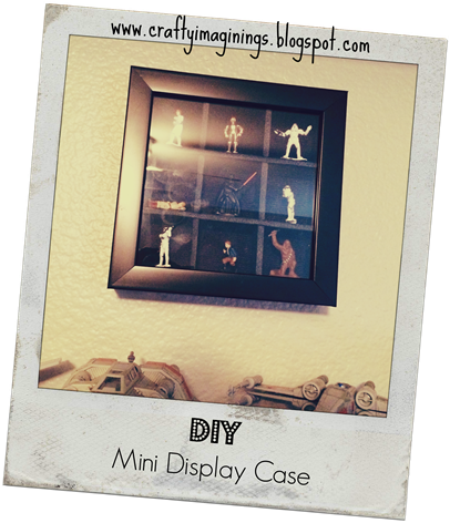 SW Mini Display Case SW Mini Display Case