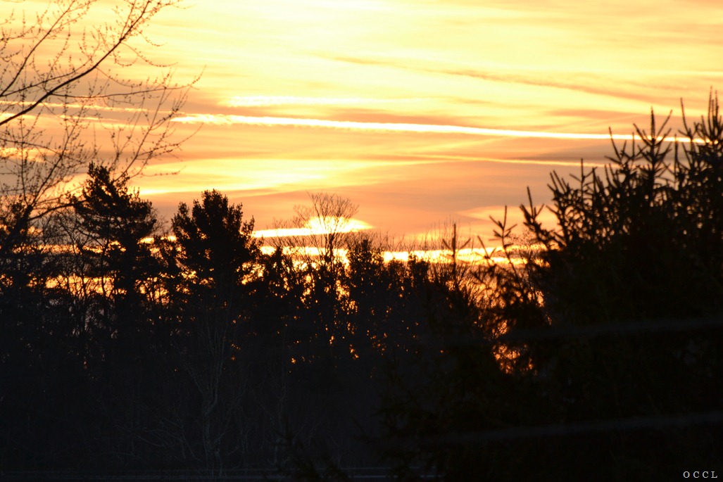 [DSC_3429%255B3%255D.jpg]