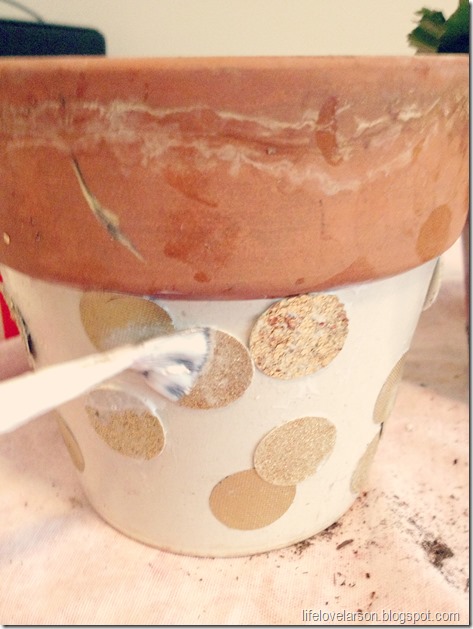 polka dotted pot 5