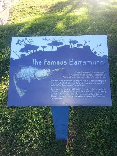 The Famous Barramundi
