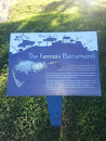 The Famous Barramundi