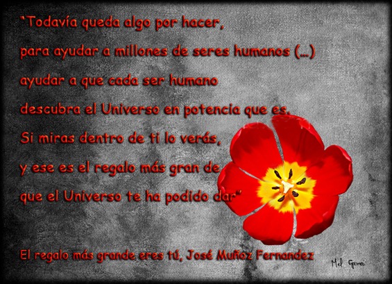 el regalo mas grande eres tu