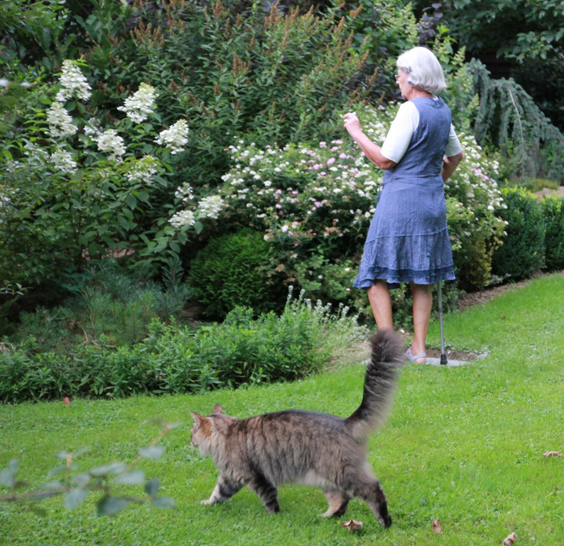 [IMG_4479%255B4%255D.jpg]