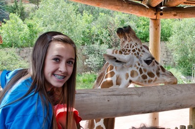 zoo-2