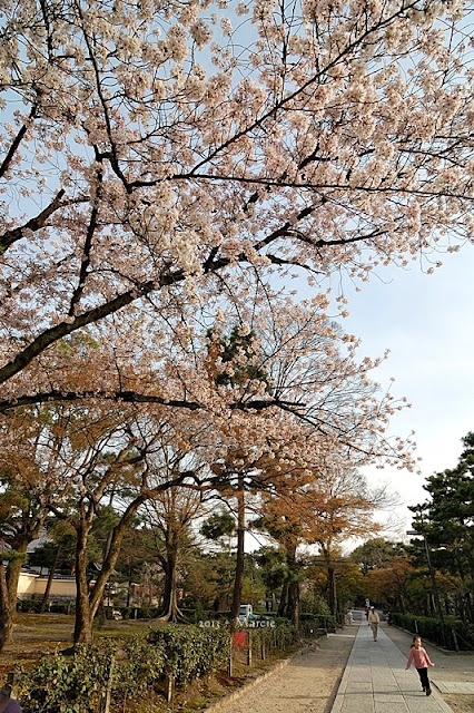 京都建仁寺
