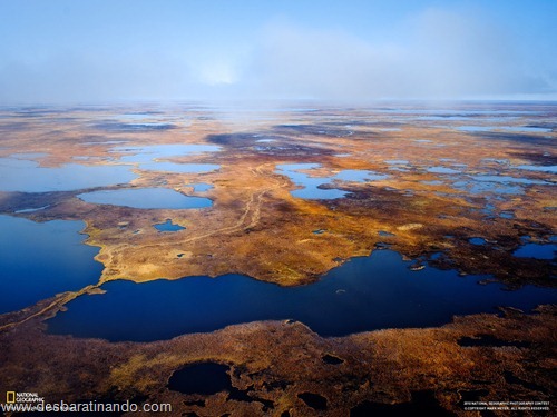 wallpapers national geographic desbaratinando  (21)