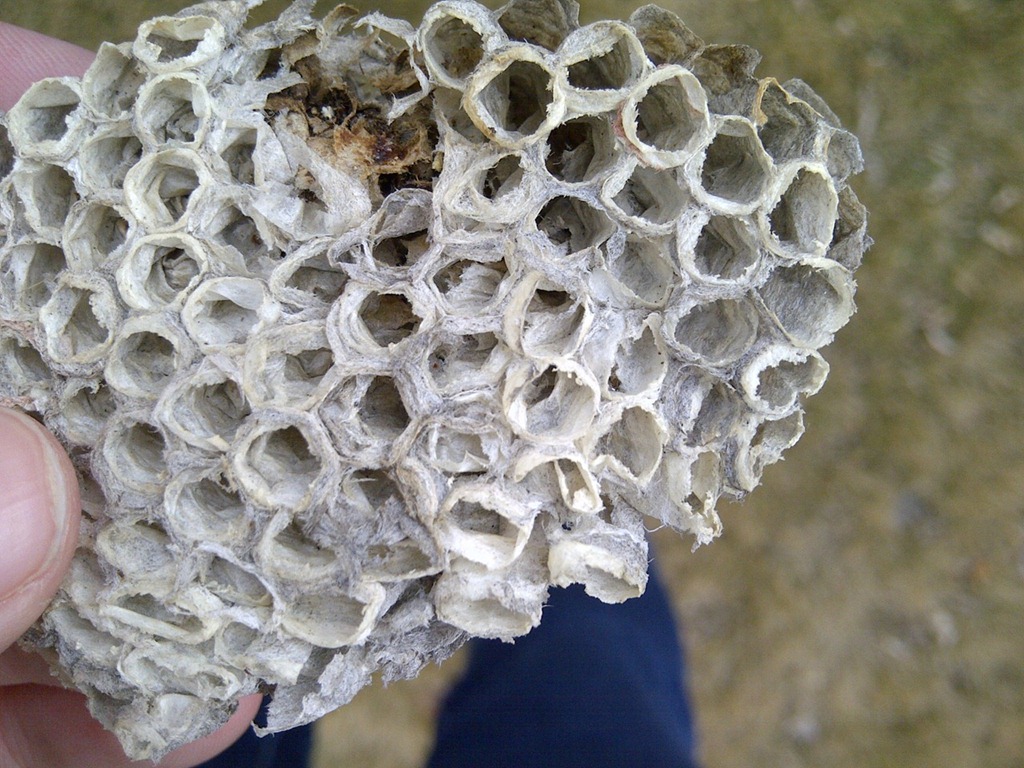 [IMG-20120311-03178%255B3%255D.jpg]