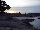 STP60638.JPG