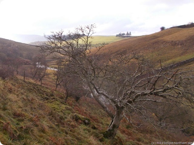 smardale smardale