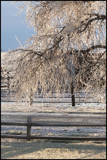 IMG_2800 IMG_2800