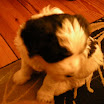 DSCN0154.JPG
