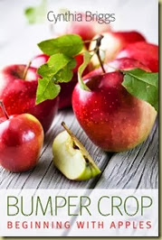CynthiaOtherOtherBookCover CynthiaOtherOtherBookCover