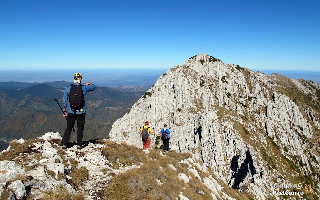 Piatra-Craiului-Martoi_1625.jpg