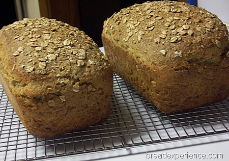 [multigrain-spelt-bread-with-soaker%2520026%255B1%255D.jpg]