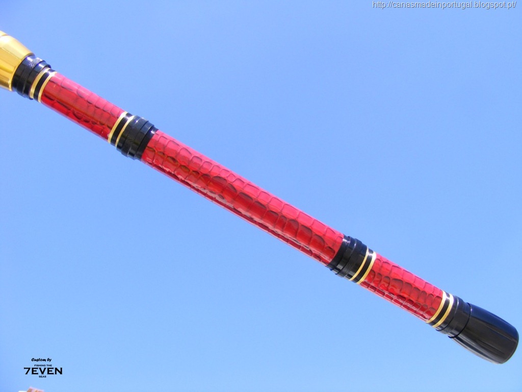 [dragonrod-grip2%255B11%255D.jpg]