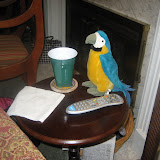 mcphins-nov-18-2011-0719.JPG