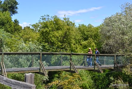 Swinging Bridge