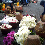 pasarbunga-01.jpg