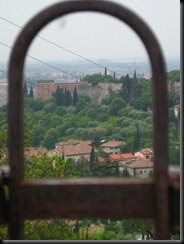 IMG_0886 IMG_0886