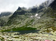 IMG_1229.jpg