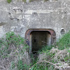 1dsc07584.jpg