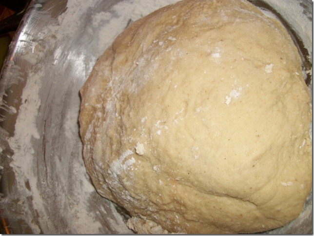 challah dough after first kneading