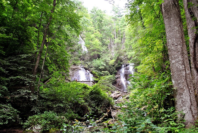 [25f---Anna-Ruby-Falls-Trail---First-.jpg]