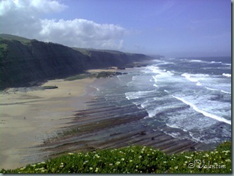 foto0113 foto0113