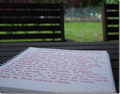 P1020115 P1020115