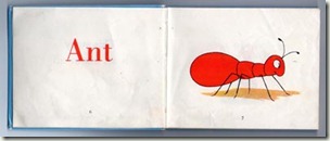 67 bg 67 bg