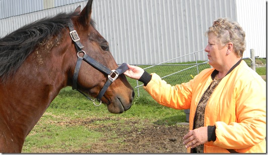 Fall at Jean's with horses. 065