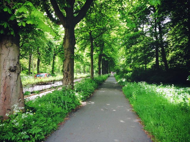 green street at the hague.jpg green hague