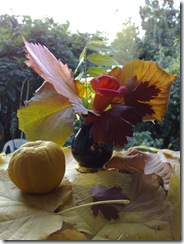 Aranjament vegetal de toamna - Autumn still life