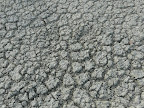Etosha Pfanne