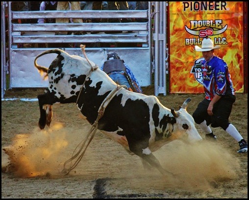 PBR 144