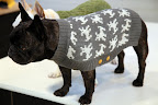 I just adore this Jacquard Sweater with its parade of pups knitted into the design.  They say that this is a sweater with a pedigree!