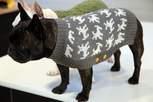 I just adore this Jacquard Sweater with its parade of pups knitted into the design.  They say that this is a sweater with a pedigree!