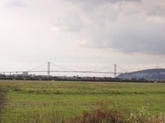 2008.10.17-009 vue sur le pont de Tancarville