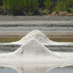 Salt being harvested in France RIMG0537.JPG
