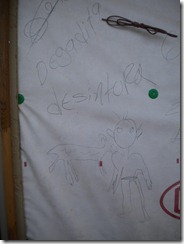 DSCN2137