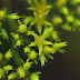 20120920_50
