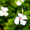 qIMG_4703..jpg