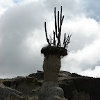 El Hongo